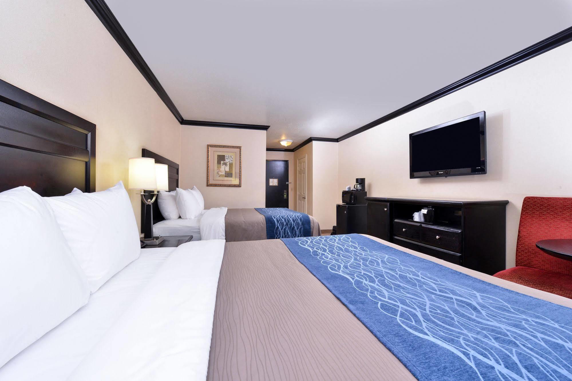 Avenue Hotel, Ascend Hotel Collection لوس أنجلوس المظهر الخارجي الصورة